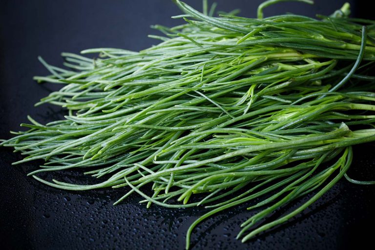 agretti barba di frate