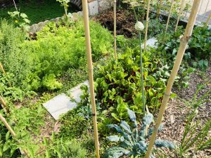 agricoltura naturale