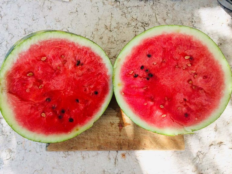 Come coltivare l’anguria in vaso: tecniche e consigli - Pianeta di Riserva
