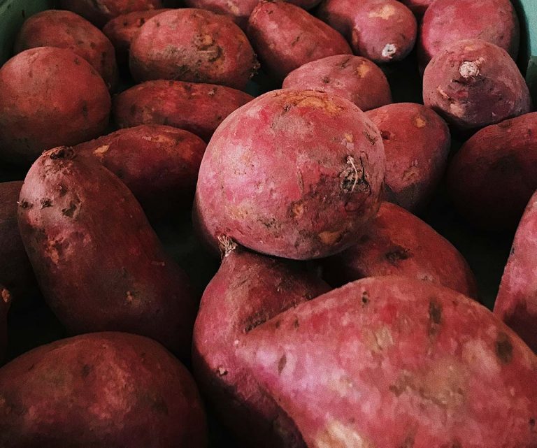 batata patata dolce americana