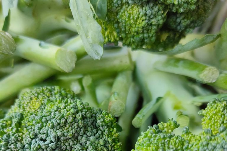 broccoli