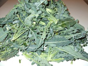 Broccolo fiolaro (originario di Creazzo): scheda tecnica di coltivazione