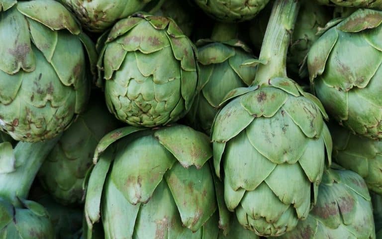 carciofi