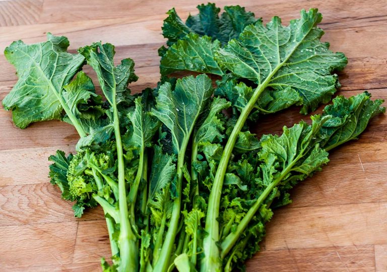 cime di rapa friarielli
