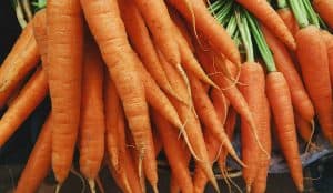Come coltivare le carote in vaso: tecniche e consigli