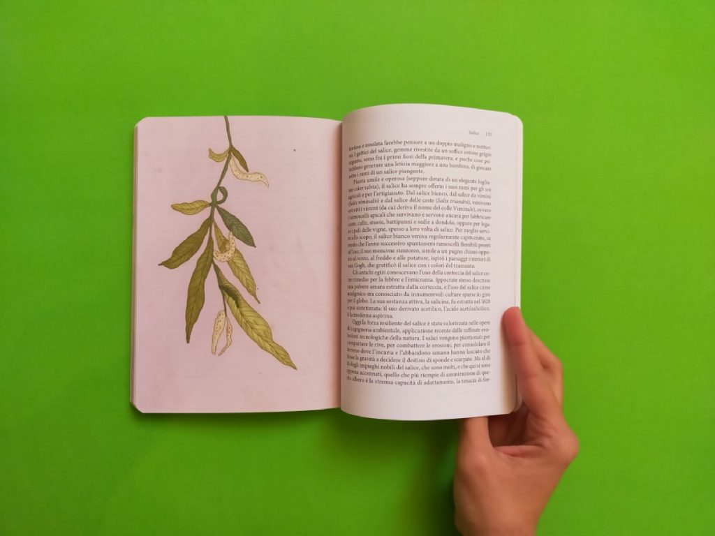 libro foliage