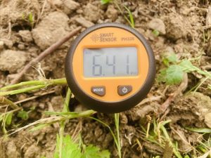misurare ph terreno