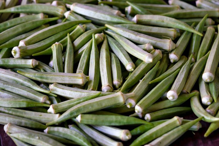 okra-gombo