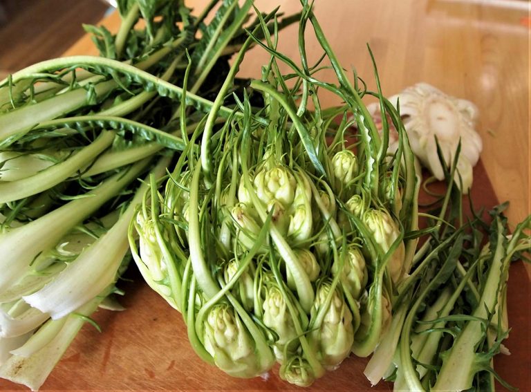 puntarelle